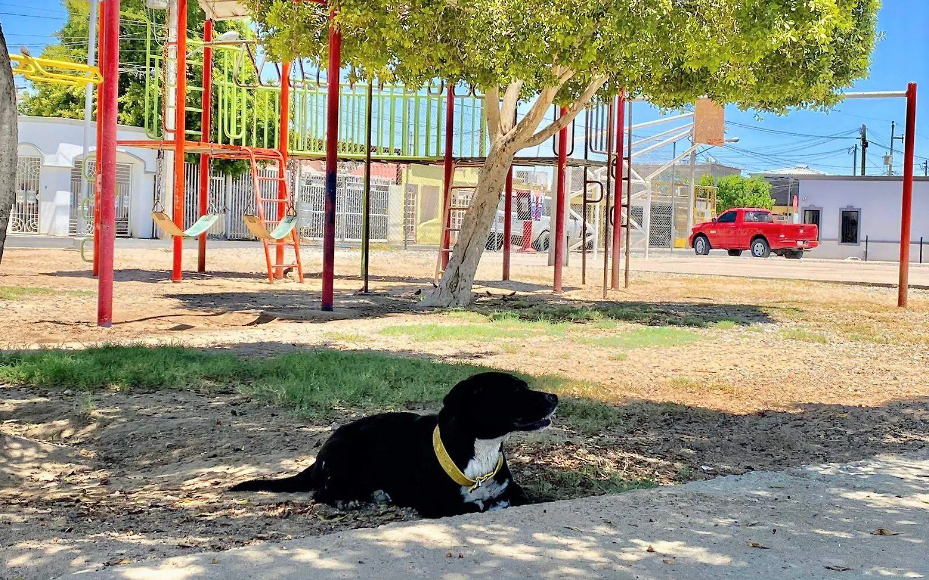 Se sugiere a los sanluisinos extremar precauciones ante intensa ola de calor